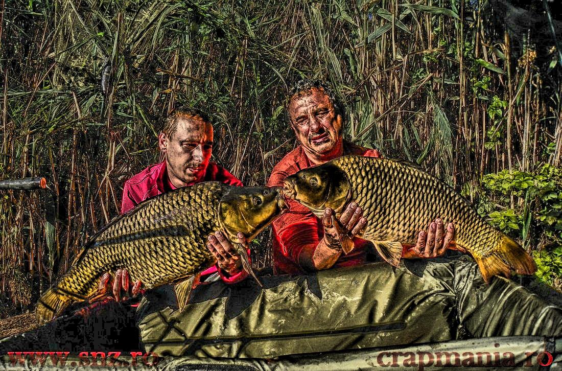 Debutmania - 2013 (1) - 1030289hdrmode2.JPG